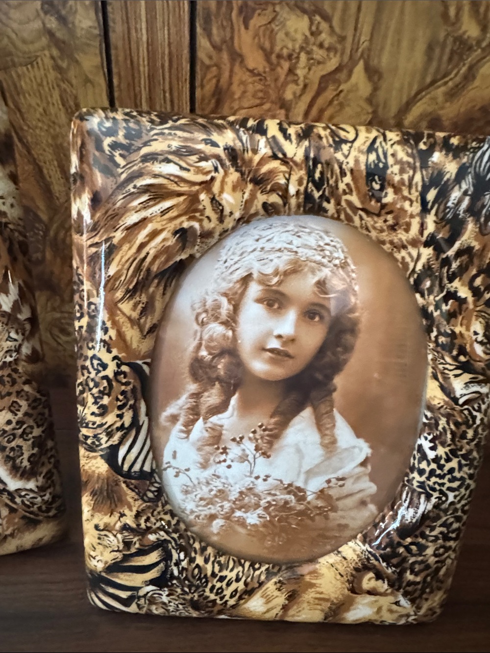 Decorative Leopard & Zebra Print Photo Frame set - Picture 3 of 6